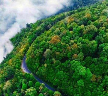 جنگل ارسباران