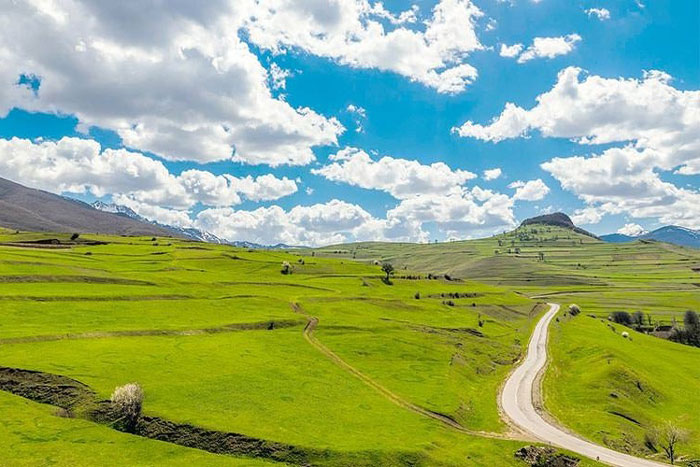 جنگل ارسباران