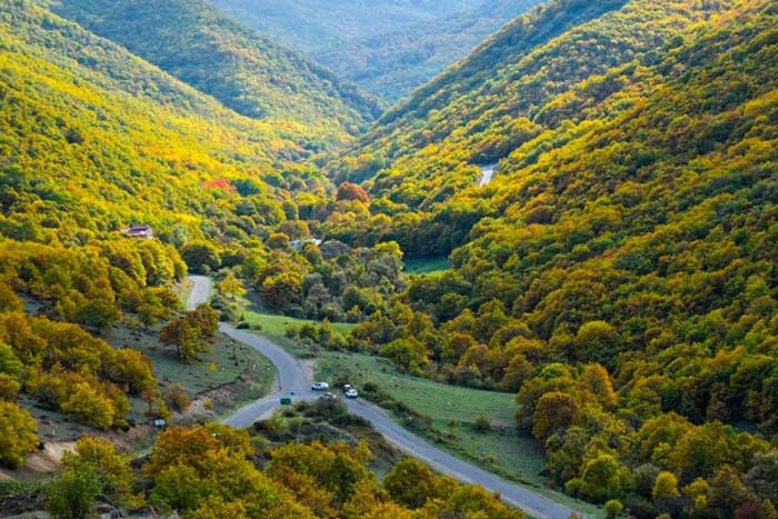 جنگل ارسباران