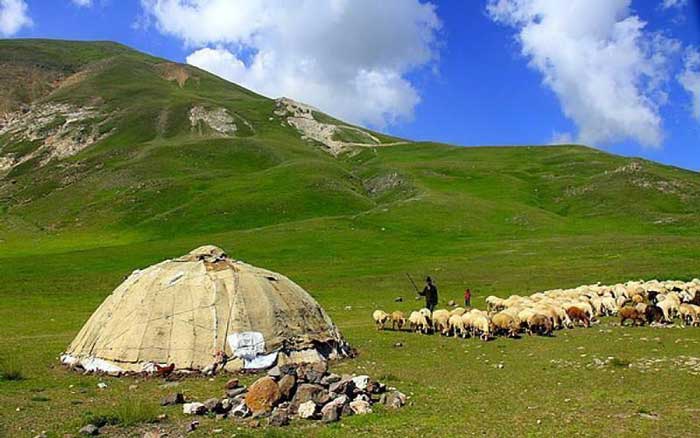 جنگل ارسباران