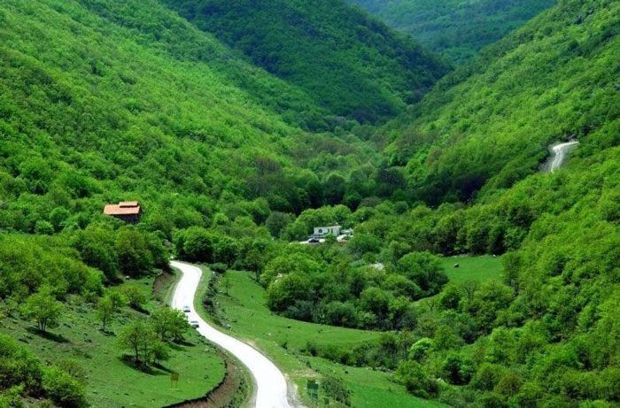 جنگل ارسباران