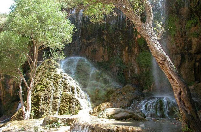 جنگل ارسباران