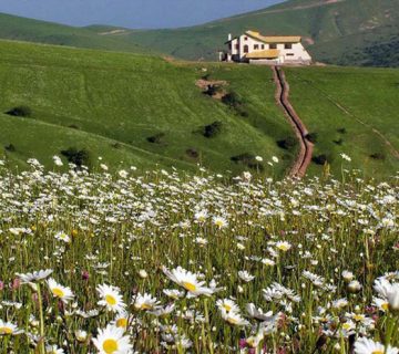 جنگل فندقلو کجاست؟