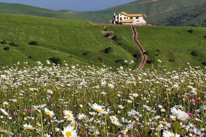 جنگل فندقلو کجاست؟