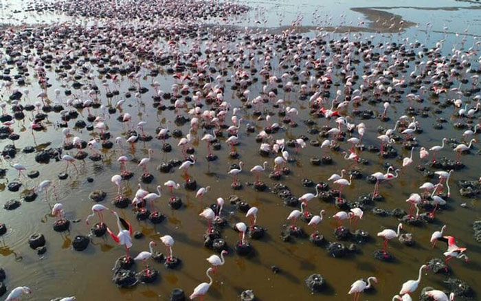 دریاچه ارومیه