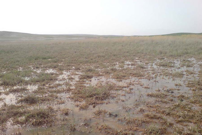 روستای شورگل – بیله سوار مغان