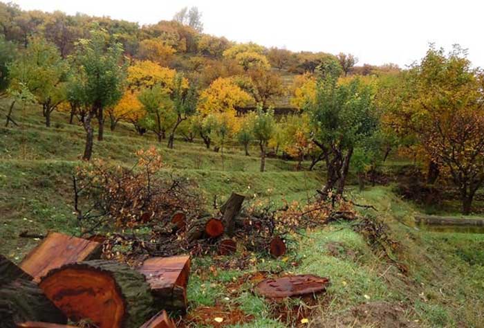 روستای زنوزق