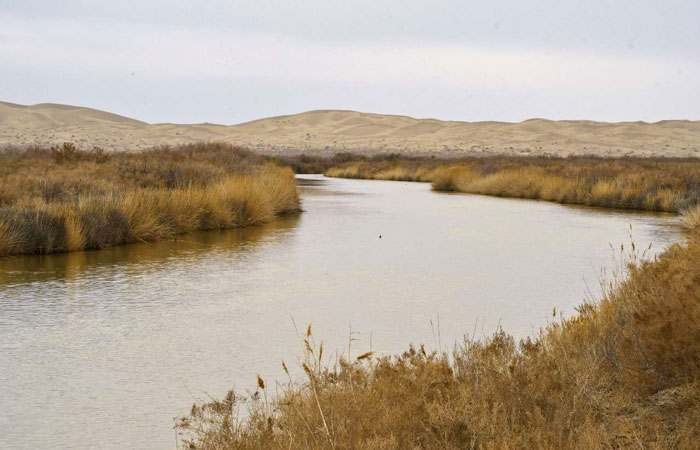 تالاب گاوخونی 