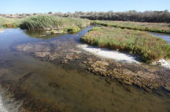 تالاب گاوخونی 