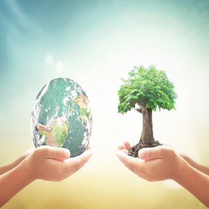دوره حفظ محط زیست کوهستان