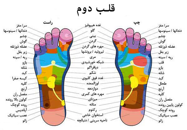 قلب دوم